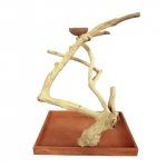 Java Wood Table Top Play Stand for Medium Parrots