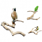 Java Wood Multi Branch Perch- Extra Small