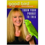 train your parrot to talk | parrot training guide